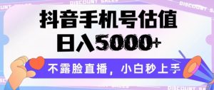 抖音手机号估值,日入5000+,不露脸直播,小白秒上手【揭秘】-第一资源库
