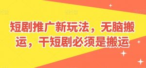 短剧推广新玩法，无脑搬运，干短剧必须是搬运【揭秘】-第一资源库