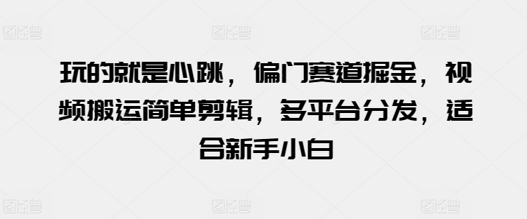 玩的就是心跳，偏门赛道掘金，视频搬运简单剪辑，多平台分发，适合新手小白【揭秘】-第一资源库