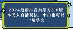 2024最新抖音卖菜刀3.0版本无人直播玩法,小白也可以一遍学会【揭秘】-第一资源库