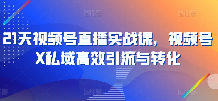 21天视频号直播实战课，视频号X私域高效引流与转化-第一资源库
