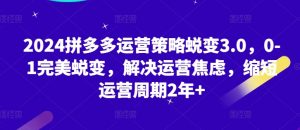2024拼多多运营策略蜕变3.0,0-1完美蜕变,解决运营焦虑,缩短运营周期2年+-第一资源库
