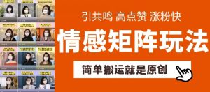 简单搬运，情感矩阵玩法，涨粉速度快，可带货，可起号【揭秘】-第一资源库