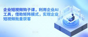 企业短视频钩子课，利用企业AI工具，借助矩阵模式，实现企业短视频批量获客-第一资源库