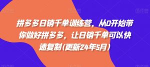 拼多多日销千单训练营，从0开始带你做好拼多多，让日销千单可以快速复制(更新24年6月)-第一资源库