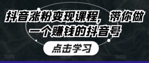抖音涨粉变现课程，带你做一个赚钱的抖音号-第一资源库