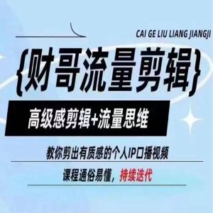 财哥流量剪辑,高级感剪辑+流量思维,教你剪出有质感的个人IP口播视频-第一资源库