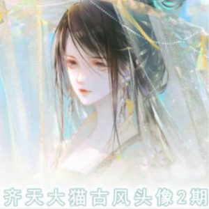 齐天大猫古风头像课第2期,帮助您提高您的绘画技能-第一资源库