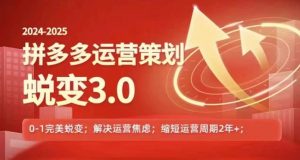 2024-2025拼多多运营策略蜕变3.0，0~1完美蜕变，解决信息焦虑-第一资源库