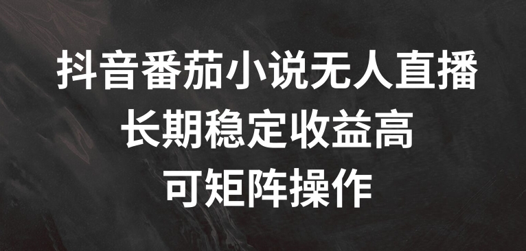 抖音番茄小说无人直播,长期稳定收益高,可矩阵操作【揭秘】-第一资源库