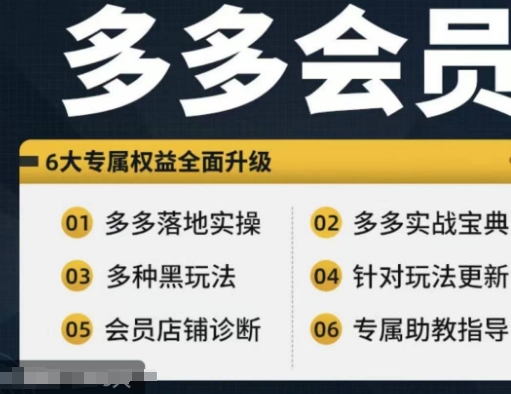 拼多多会员，拼多多实战宝典+实战落地实操，从新手到高阶内容全面覆盖-第一资源库