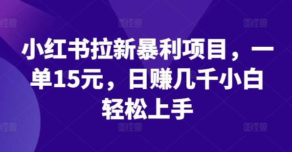 小红书拉新暴利项目，一单15元，日赚几千小白轻松上手【揭秘】-第一资源库