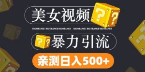 搬运tk美女视频全网分发,日引s粉300+,轻松变现,不限流量不封号【揭秘】-第一资源库
