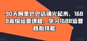 90天阿里巴巴店铺火起来，1688高级运营课程，学习1688运营核心技能-第一资源库