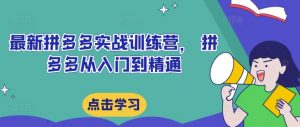 最新拼多多实战训练营, 拼多多从入门到精通-第一资源库
