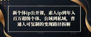 新个体ip公开课,素人ip到年入百万超级个体,公域到私域,普通人可复制的变现路径拆解-第一资源库