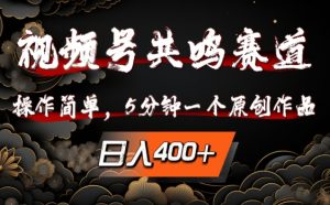 视频号共鸣赛道，操作简单，5分钟1个原创作品，日入几张【揭秘】-第一资源库