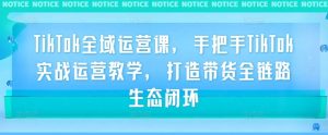 TikTok全域运营课,手把手TikTok实战运营教学,打造带货全链路生态闭环-第一资源库