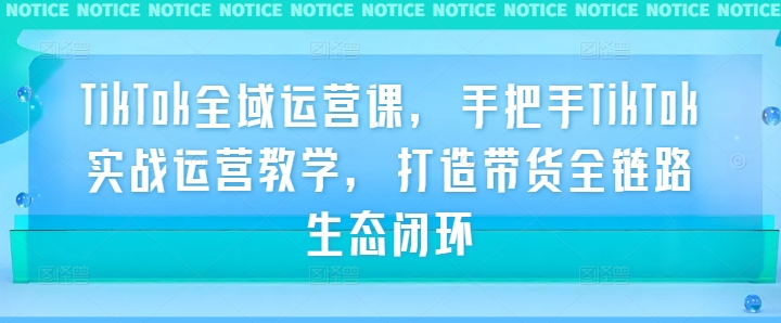 TikTok全域运营课,手把手TikTok实战运营教学,打造带货全链路生态闭环-第一资源库