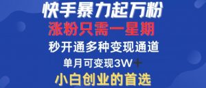 快手暴力起万粉，涨粉只需一星期，多种变现模式，直接秒开万合，单月变现过W【揭秘】-第一资源库