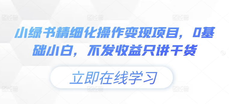 小绿书精细化操作变现项目,0基础小白,不发收益只讲干货-第一资源库