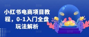 小红书电商项目教程，0-1入门全盘玩法解析-第一资源库
