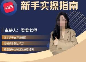 君君-小红书电商从入门到精通,新手实操指南-第一资源库