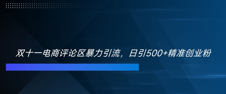 双十一电商评论区暴力引流，日引500+精准创业粉【揭秘】-第一资源库