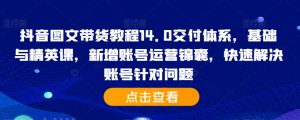 抖音图文带货教程14.0交付体系,基础与精英课,新增账号运营锦囊,快速解决账号针对问题-第一资源库