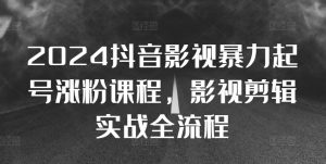 2024抖音影视暴力起号涨粉课程，影视剪辑搬运实战全流程-第一资源库