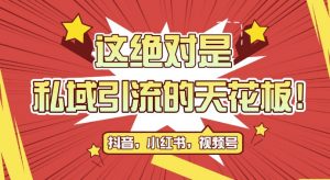 最新首发全平台引流玩法,公域引流私域玩法,轻松获客500+,附引流脚本,克隆截流自热玩法【揭秘】-第一资源库