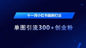 十一月小红书最新打法,单图引流300+创业粉【揭秘】-第一资源库