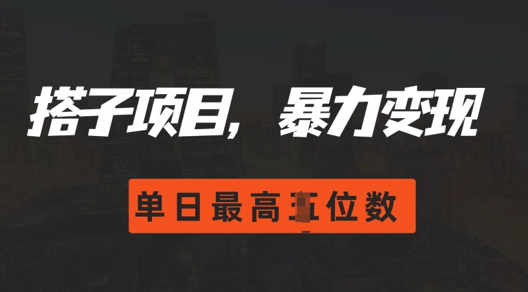 2024搭子玩法，0门槛，暴力变现，单日最高破四位数【揭秘】-第一资源库