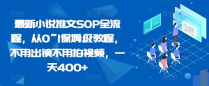 最新小说推文SOP全流程，从0~1保姆级教程，不用出镜不用拍视频，一天400+-第一资源库