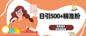 私域引流获客神器,全自动引流玩法日引 500+精准粉 加爆你的微信【揭秘】-第一资源库