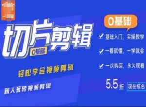 0基础IP切片剪辑，轻松学会视频剪辑，新人玩转视频剪辑-第一资源库
