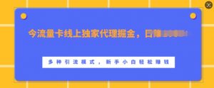 流量卡线上独家代理掘金，日入1k+ ，多种引流模式，新手小白轻松上手【揭秘】-第一资源库