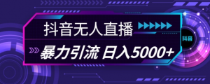 抖音快手视频号全平台通用无人直播引流法，利用图片模板和语音话术，暴力日引流100+创业粉【揭秘】-第一资源库