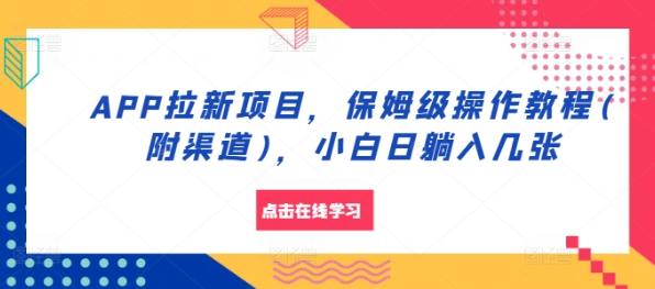 APP拉新项目，保姆级操作教程(附渠道)，小白日躺入几张【揭秘】-第一资源库