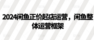 2024闲鱼正价起店运营，闲鱼整体运营框架-第一资源库