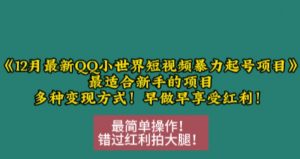 12月最新QQ小世界短视频暴力起号项目，最适合新手的项目，多种变现方式-第一资源库