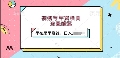 视频号年货项目，流量贼猛，早布局早挣钱，日入上k【揭秘】-第一资源库