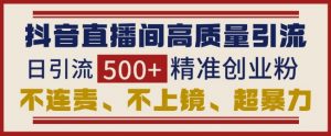 抖音直播间引流创业粉,无需连麦、不用上镜、超暴力,日引流500+高质量精准创业粉-第一资源库