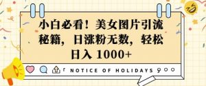 小白必看,美女图片引流秘籍,日涨粉无数,轻松日入几张【揭秘】-第一资源库