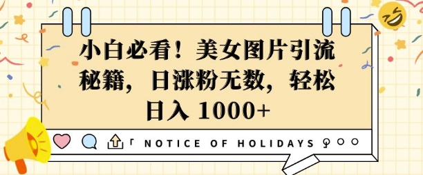 小白必看,美女图片引流秘籍,日涨粉无数,轻松日入几张【揭秘】-第一资源库