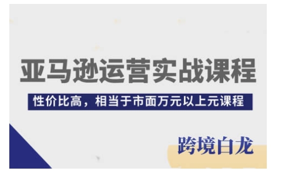亚马逊运营实战课程,亚马逊从入门到精通,性价比高,相当于市面万元以上元课程-第一资源库