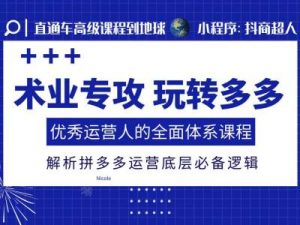 术业专攻玩转多多，优秀运营人的全面体系课程，解析拼多多运营底层必备逻辑-第一资源库