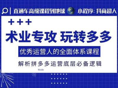 术业专攻玩转多多,优秀运营人的全面体系课程,解析拼多多运营底层必备逻辑-第一资源库