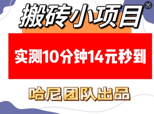 搬砖小项目,实测10分钟14元秒到,每天稳定几张(赠送必看稳定)-第一资源库