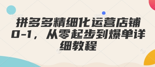 拼多多精细化运营店铺0-1，从零起步到爆单详细教程-第一资源库
